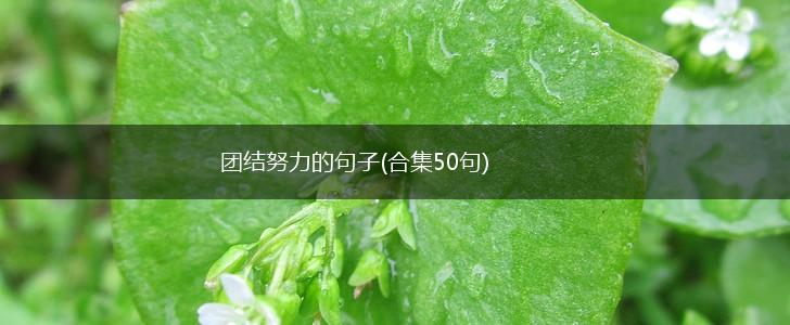 团结努力的句子(合集50句),第1张