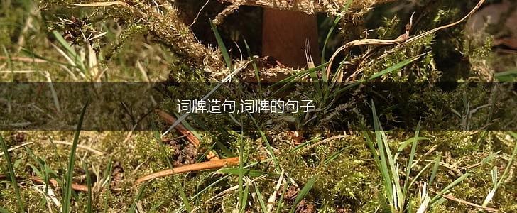 词牌造句,词牌的句子,第1张