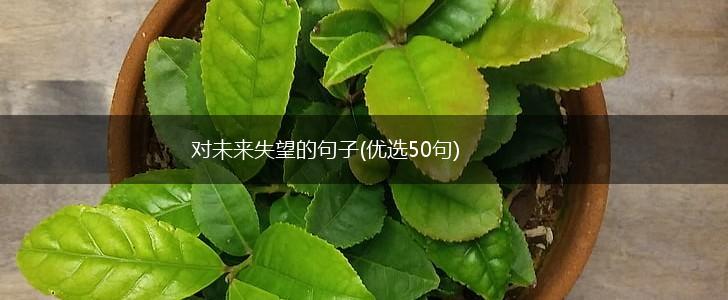 对未来失望的句子(优选50句),第1张