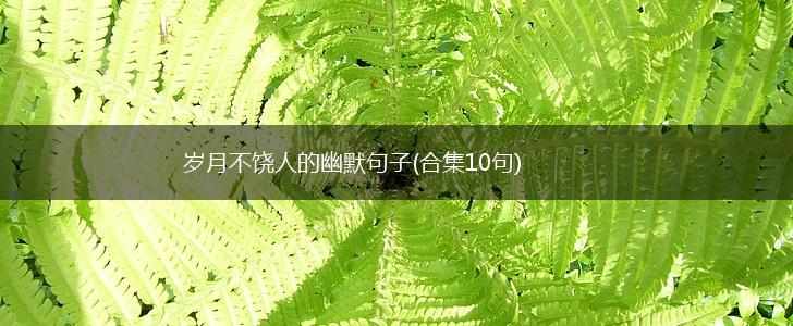 岁月不饶人的幽默句子(合集10句),第1张