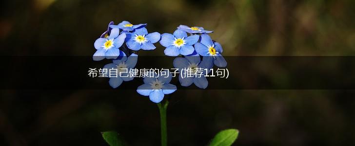 希望自己健康的句子(推荐11句),第1张