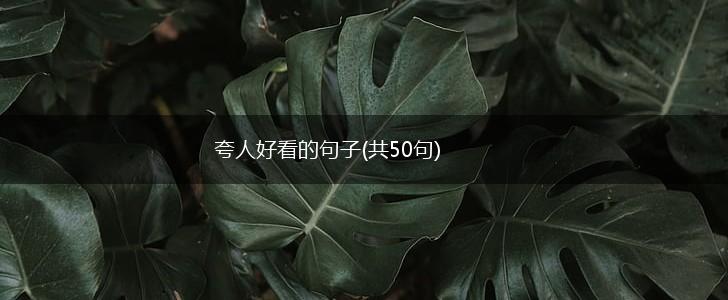 夸人好看的句子(共50句),第1张