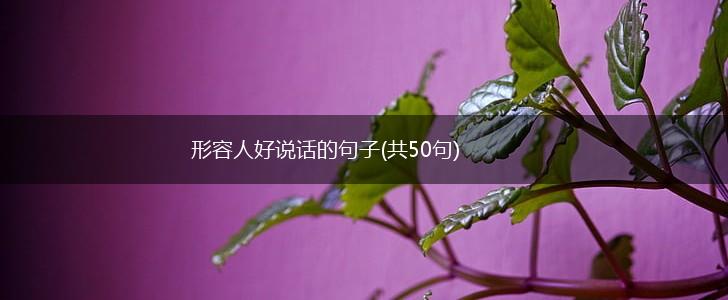 形容人好说话的句子(共50句),第1张