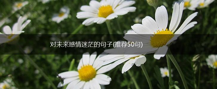 对未来感情迷茫的句子(推荐50句),第1张