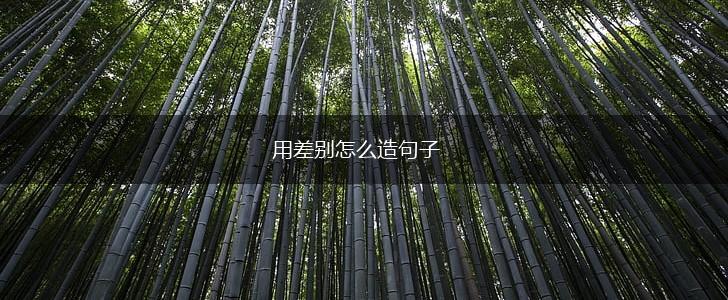 用差别怎么造句子,第1张