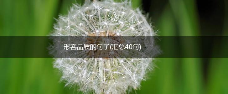 形容品质的句子(汇总40句),第1张