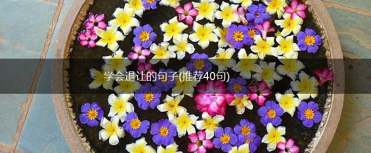 学会退让的句子(推荐40句),第1张