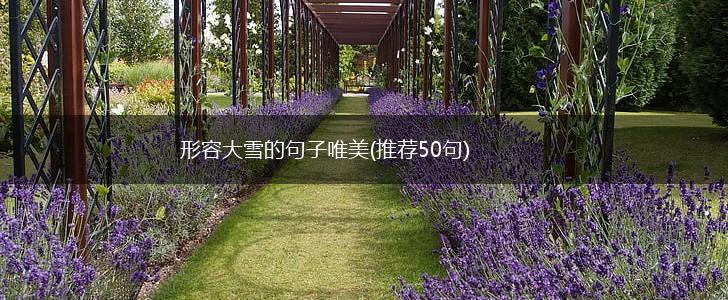 形容大雪的句子唯美(推荐50句),第1张