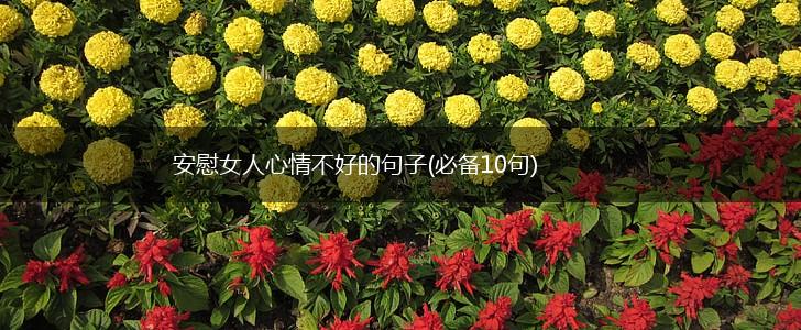 安慰女人心情不好的句子(必备10句),第1张