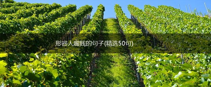 形容人嘴贱的句子(精选50句),第1张