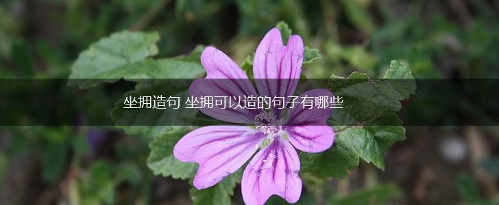 坐拥造句 坐拥可以造的句子有哪些,第1张
