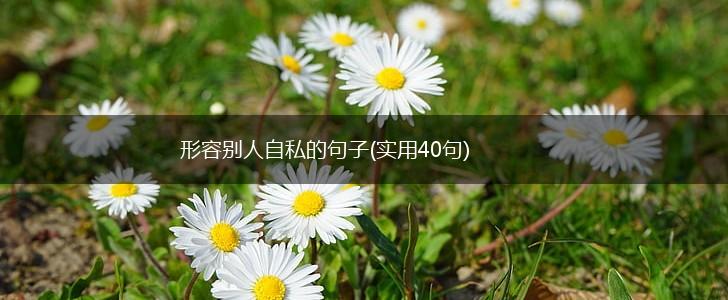 形容别人自私的句子(实用40句),第1张