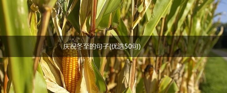 庆祝冬至的句子(优选50句),第1张