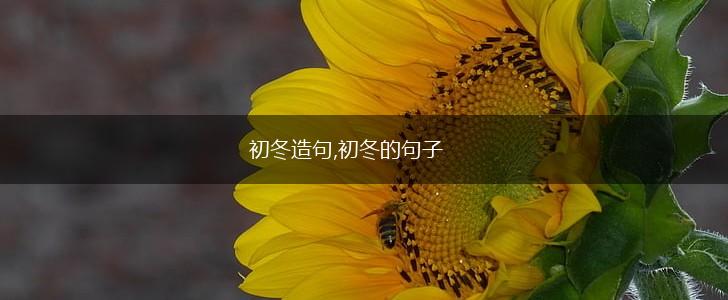 初冬造句,初冬的句子,第1张