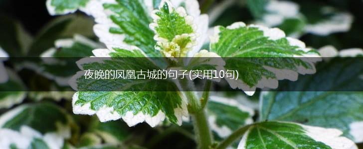 夜晚的凤凰古城的句子(实用10句),第1张