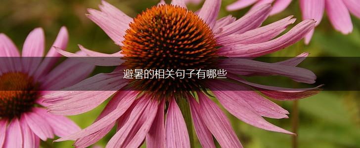 避暑的相关句子有哪些,第1张