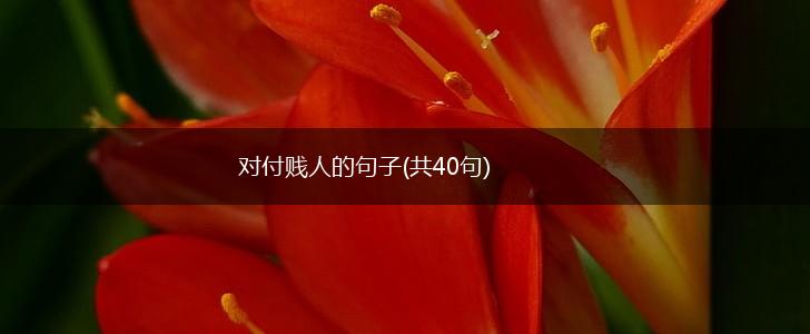 对付贱人的句子(共40句),第1张