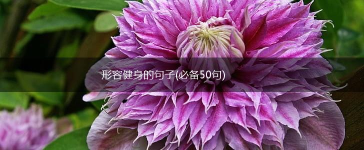形容健身的句子(必备50句),第1张