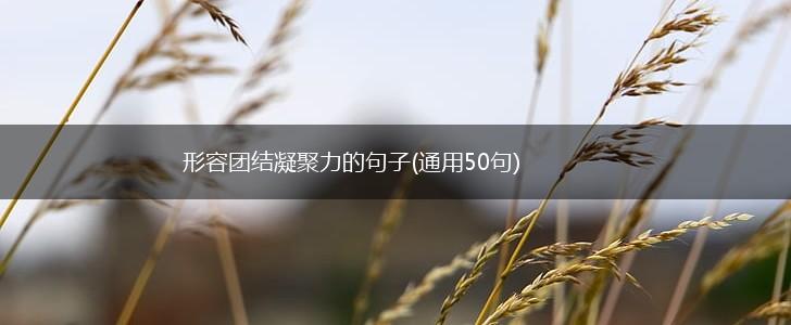 形容团结凝聚力的句子(通用50句),第1张