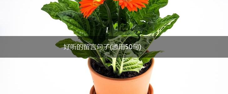 好听的留言句子(通用50句),第1张