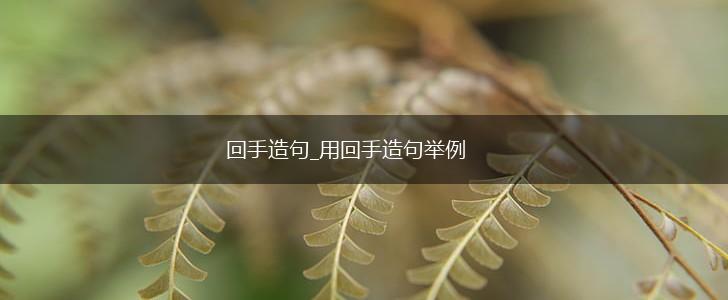 回手造句_用回手造句举例,第1张
