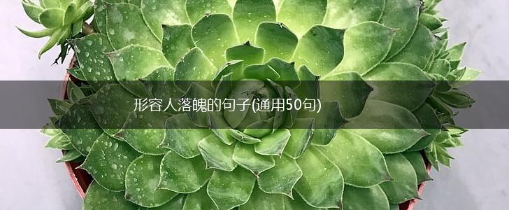 形容人落魄的句子(通用50句),第1张
