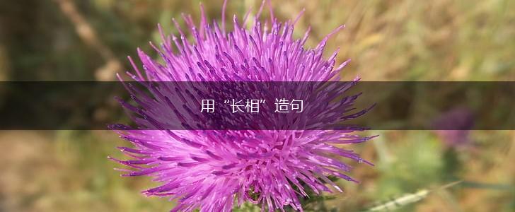用“长相”造句,第1张