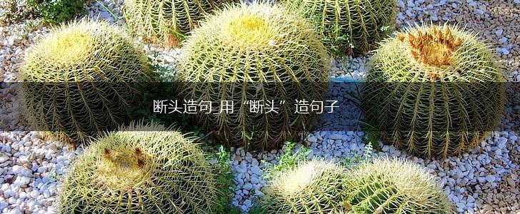 断头造句_用“断头”造句子,第1张