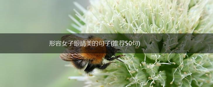 形容女子眼睛美的句子(推荐50句),第1张