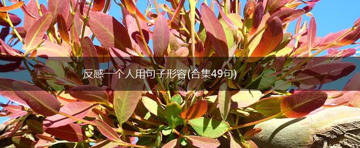 反感一个人用句子形容(合集49句),第1张