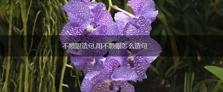 不顺眼造句,用不顺眼怎么造句,第1张