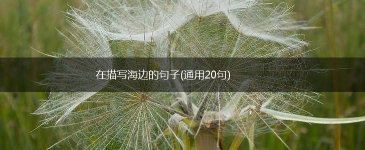 在描写海边的句子(通用20句),第1张