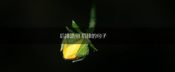 后排造句 后排的句子,第1张