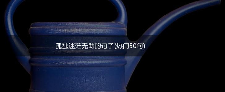 孤独迷茫无助的句子(热门50句),第1张