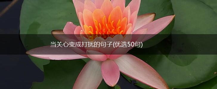 当关心变成打扰的句子(优选50句),第1张