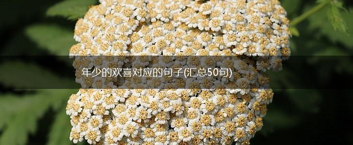 年少的欢喜对应的句子(汇总50句),第1张