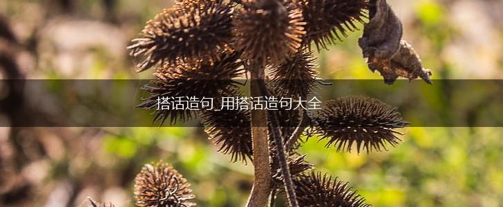 搭话造句_用搭话造句大全,第1张