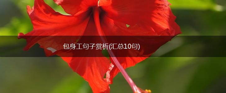 包身工句子赏析(汇总10句),第1张