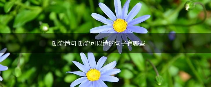断流造句 断流可以造的句子有哪些,第1张