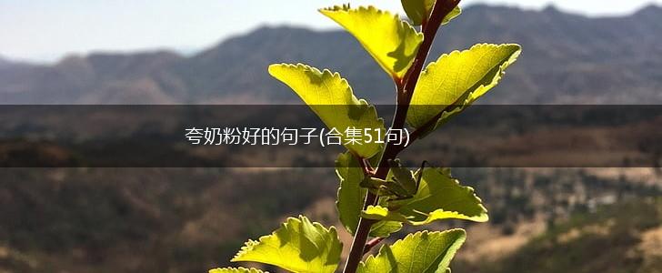 夸奶粉好的句子(合集51句),第1张
