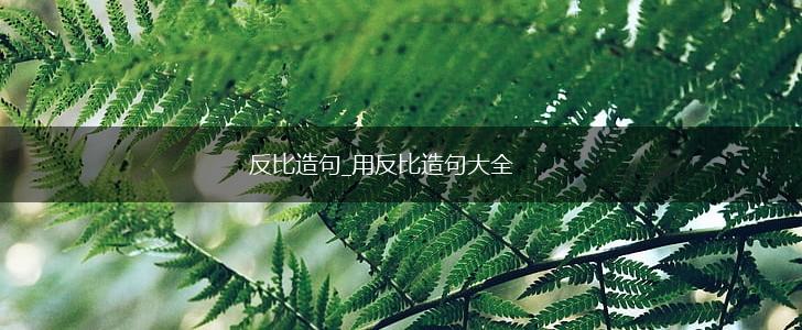 反比造句_用反比造句大全,第1张