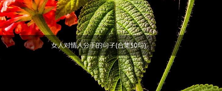女人对情人分手的句子(合集50句),第1张