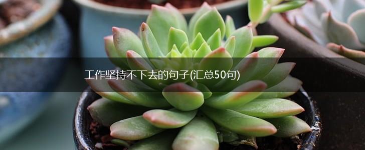 工作坚持不下去的句子(汇总50句),第1张