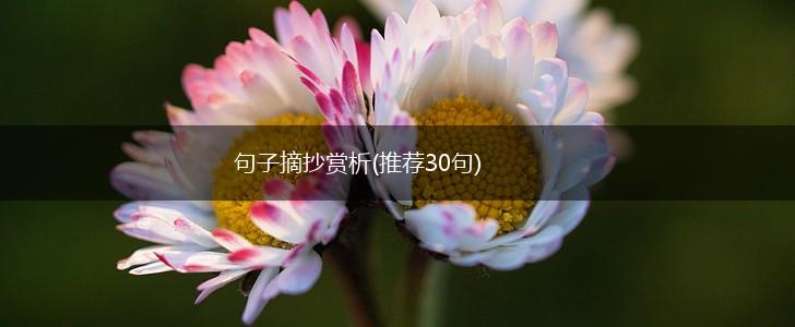 句子摘抄赏析(推荐30句),第1张