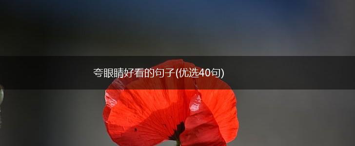夸眼睛好看的句子(优选40句),第1张