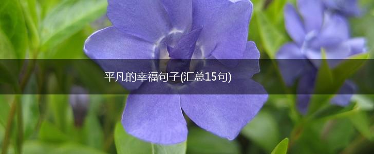 平凡的幸福句子(汇总15句),第1张