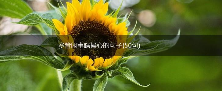 多管闲事瞎操心的句子(50句),第1张