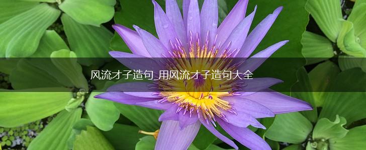 风流才子造句_用风流才子造句大全,第1张