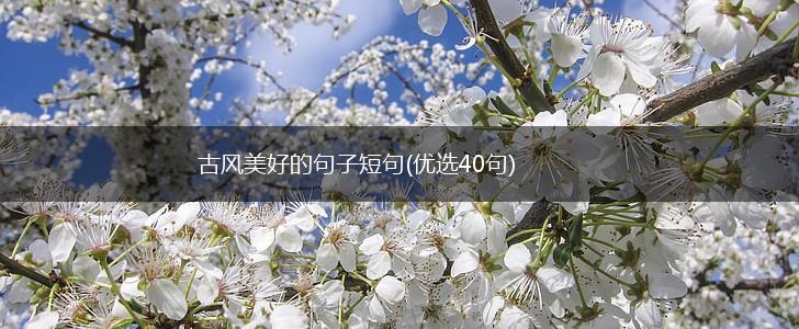 古风美好的句子短句(优选40句),第1张