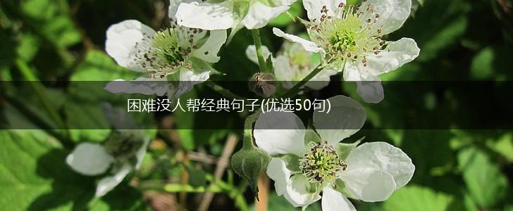 困难没人帮经典句子(优选50句),第1张